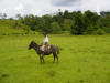 Campesino (farmer) on mule, Costa Rica